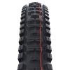 Schwalbe Reifen 29 x 2,4 Big Betty Evo Super Gravity Faltb.TLEasy 